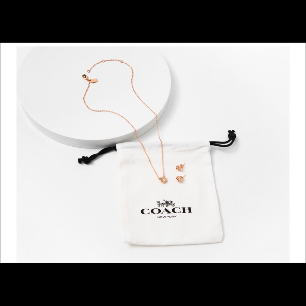 Coach necklace and earring set